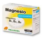 Magnesio+B Efervescente 24Comp